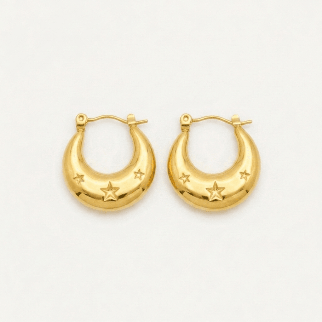 Moon and Star Earrings