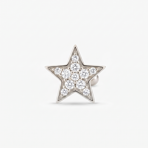 Broqueles Estrella Marina en plateado, foto de estudio sobre fondo gris claro